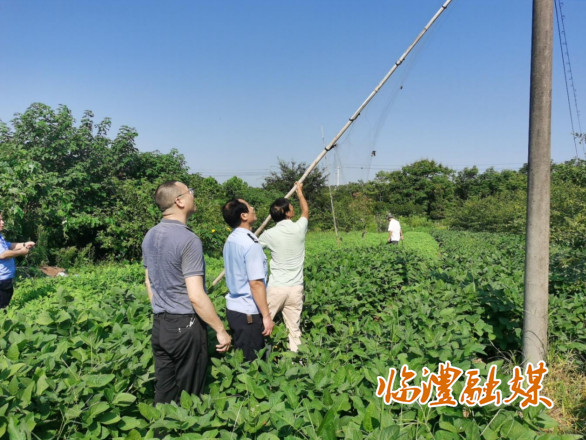 wechat_2025-07-30_164915_696.png