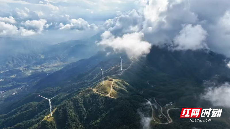 微信图片_20250731204730.jpg