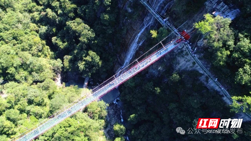 微信图片_20250731203625.jpg