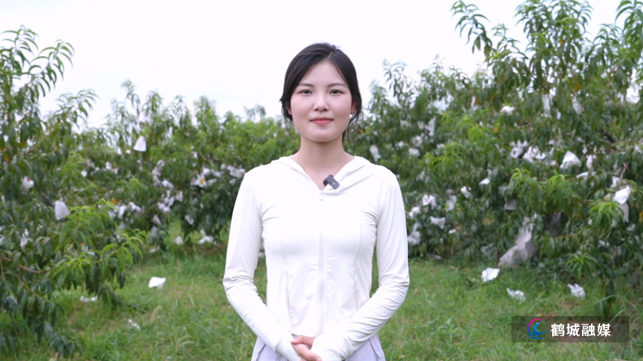 怀化市鹤城区：千亩高山黄桃喜获丰收（半成品）.mp4_000000.211.png