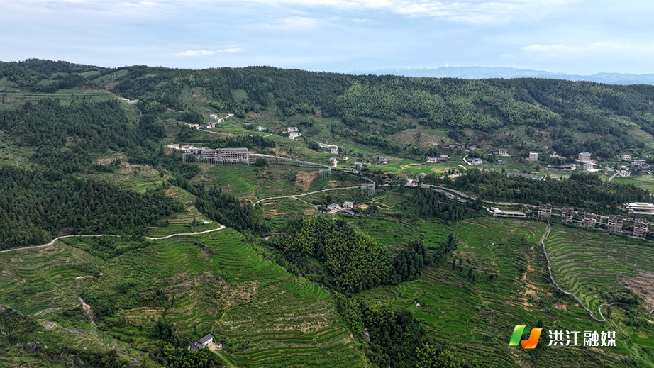 DJI_20250721221618_0609_D.jpg