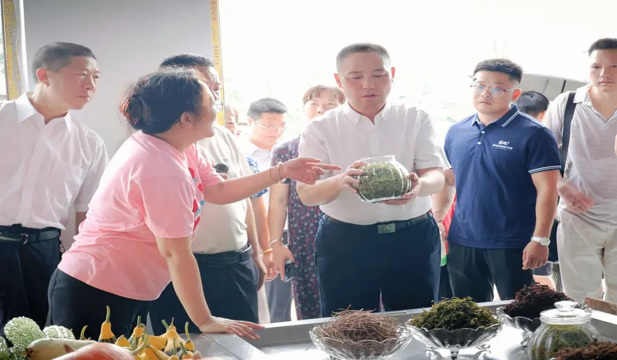 道地药材产业园开市暨2025年中药材乡村振兴示范推广活动举行