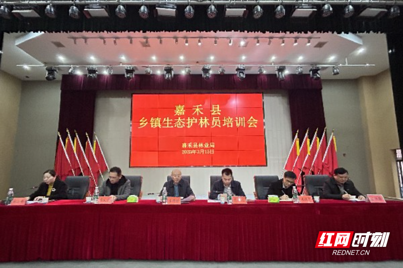 微信图片_20250818174220_11.jpg