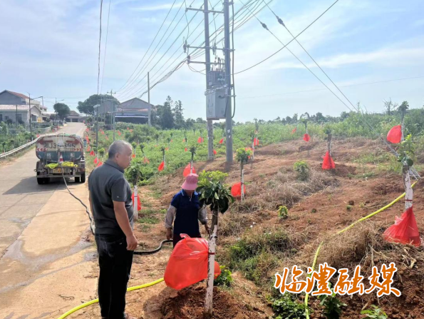 wechat_2025-08-19_161430_121.png