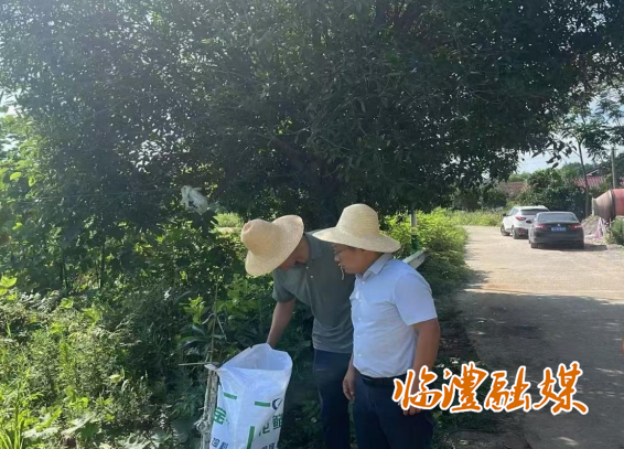 wechat_2025-08-19_161359_071.png