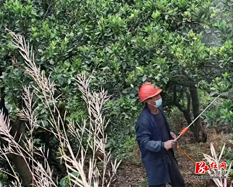 微信图片_20250822161301.jpg