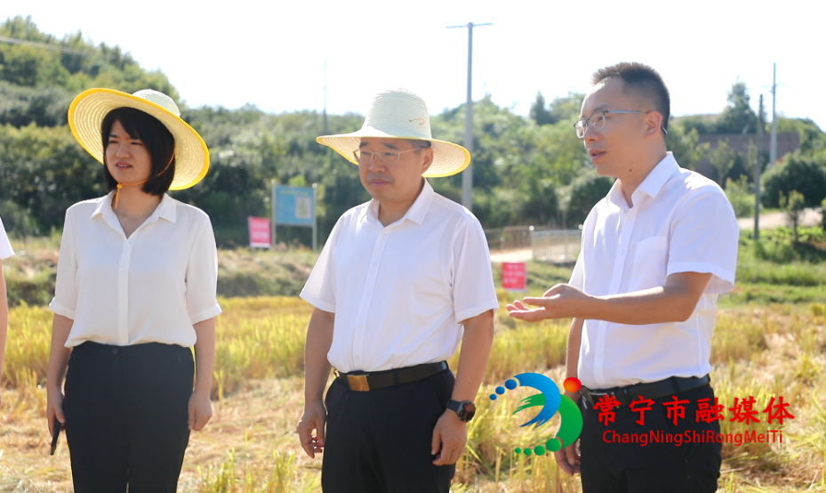 微信图片_2025-08-26_174744_617.png