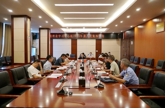 武陵源区委理论学习中心组举行2025年第八次集体学习