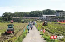 “硬核”农机秀！耒阳市上演秸秆综合利用机械化大戏