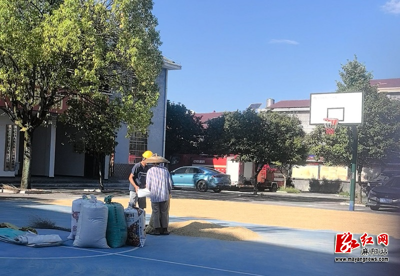 微信图片_20250904105610.jpg
