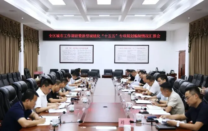 雷欣、陈淼调研全区城市工作暨新型城镇化“十五五”专项规划编制情况