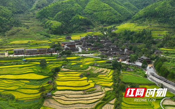 微信截图_20250905161931.png