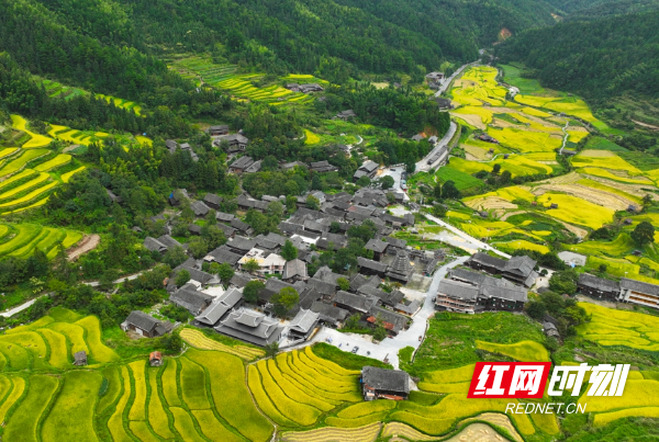 微信截图_20250905161916.png