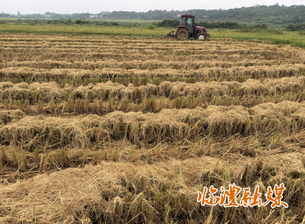 wechat_2025-09-08_091745_075.png