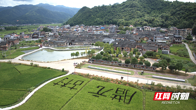 DJI_0492_副本.jpg