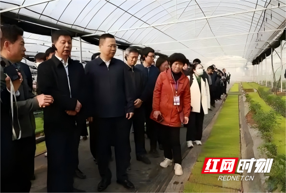 517-250915155639317_副本.jpg
