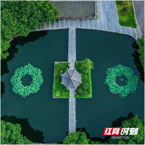 DJI_0360-.jpg