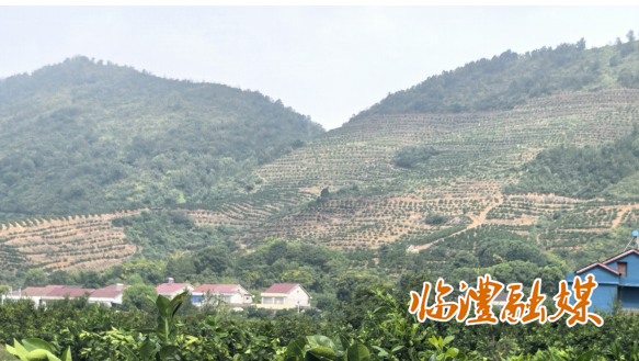 wechat_2025-09-16_163347_710.png