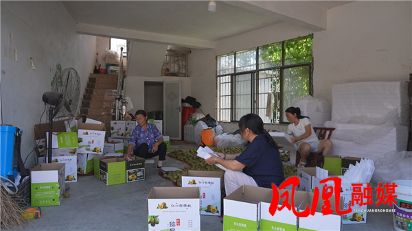 图片17.png