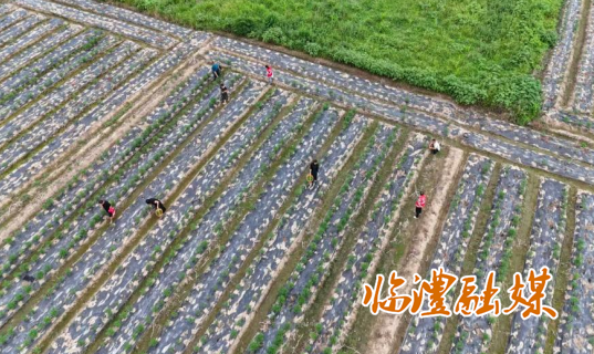 wechat_2025-09-18_172105_015.png