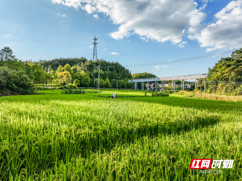 0a2c6e1c2238c6e8c8c645ca221f11ed.jpg 0a2c6e1c2238c6e8c8c645ca221f11ed.jpg