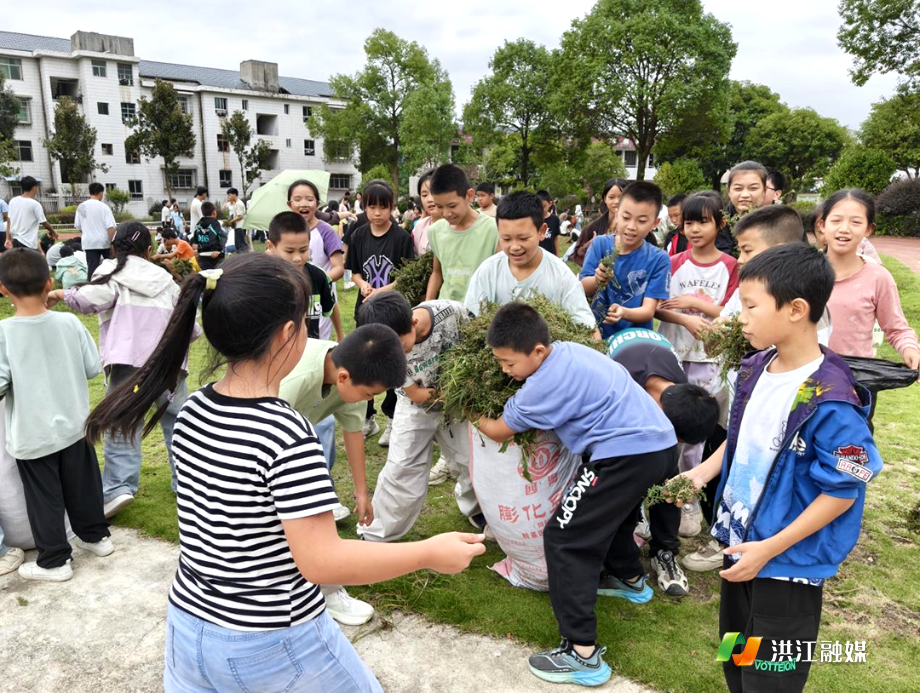雪峰镇中心学校1.png