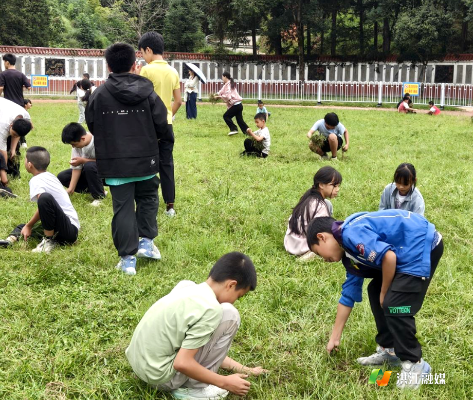 雪峰镇中心学校.png