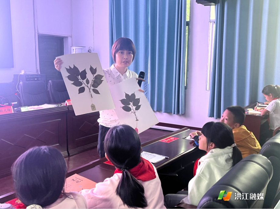 太平乡.png