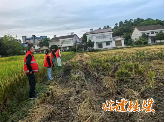 wechat_2025-09-24_182637_744.png