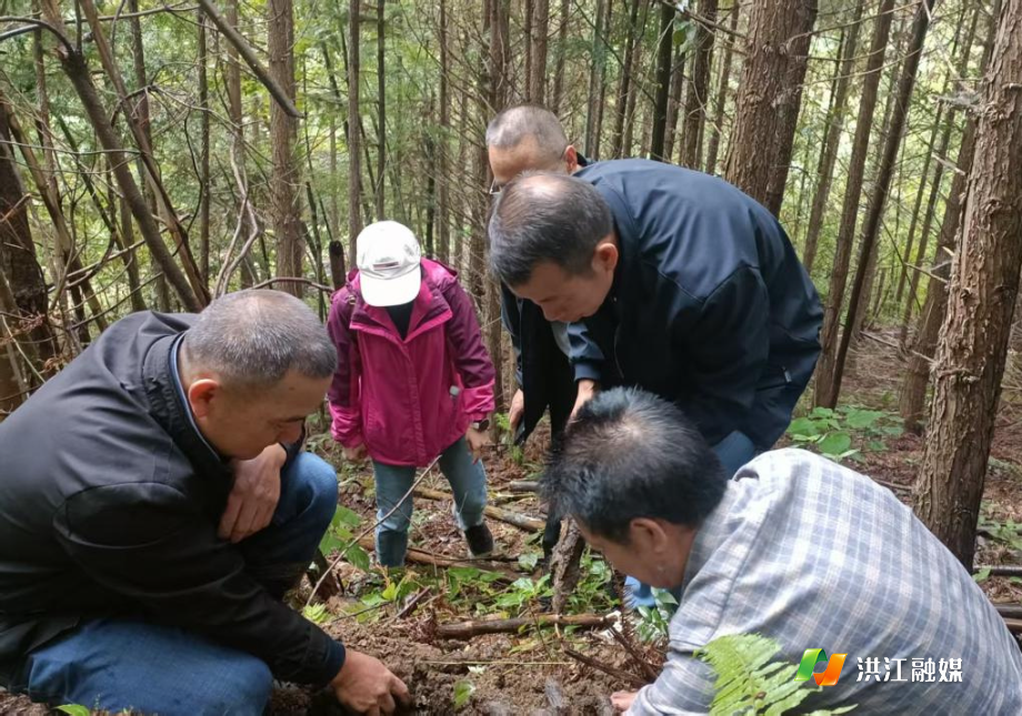 市农业农村局1.jpg