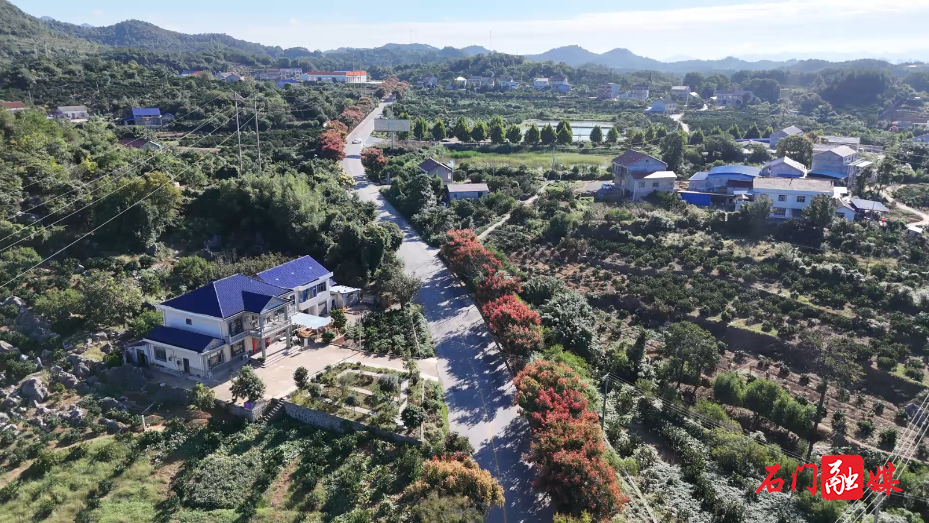 石门:栾树映秋 绘就城市诗意画卷3.png 石门:栾树映秋 绘就城市诗意画卷3.png