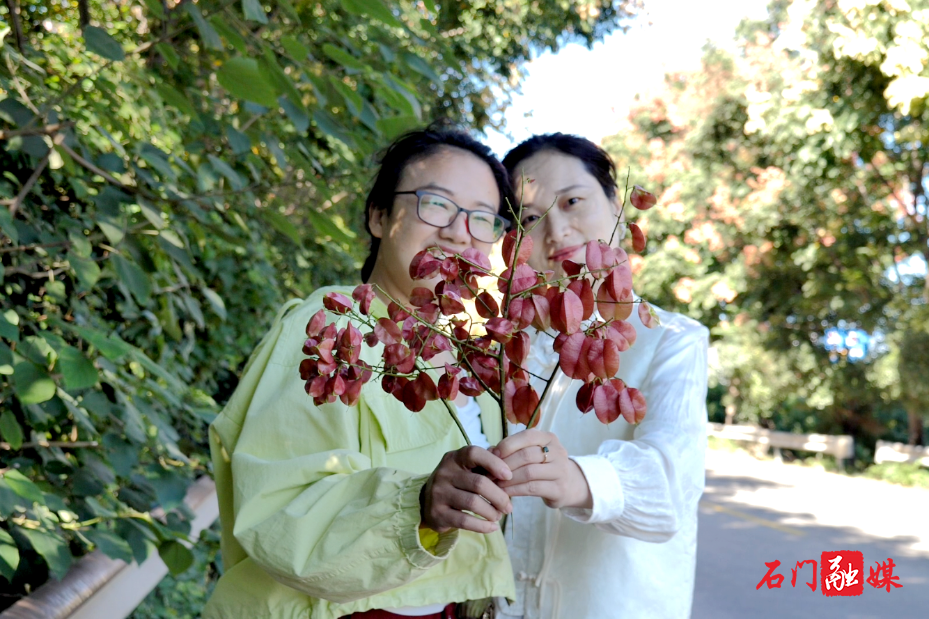 石门:栾树映秋 绘就城市诗意画卷5.png 石门:栾树映秋 绘就城市诗意画卷5.png
