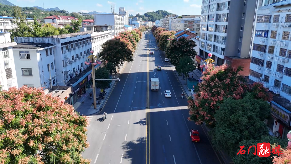 石门:栾树映秋 绘就城市诗意画卷8.png 石门:栾树映秋 绘就城市诗意画卷8.png