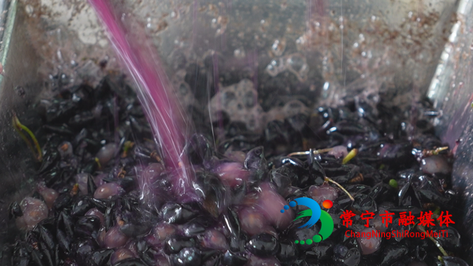 酿酒3.jpg