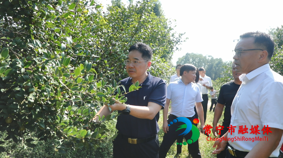罗卫华：守牢安全底线 聚力乡村振兴 用心用情增进民生福祉_看图王.jpg