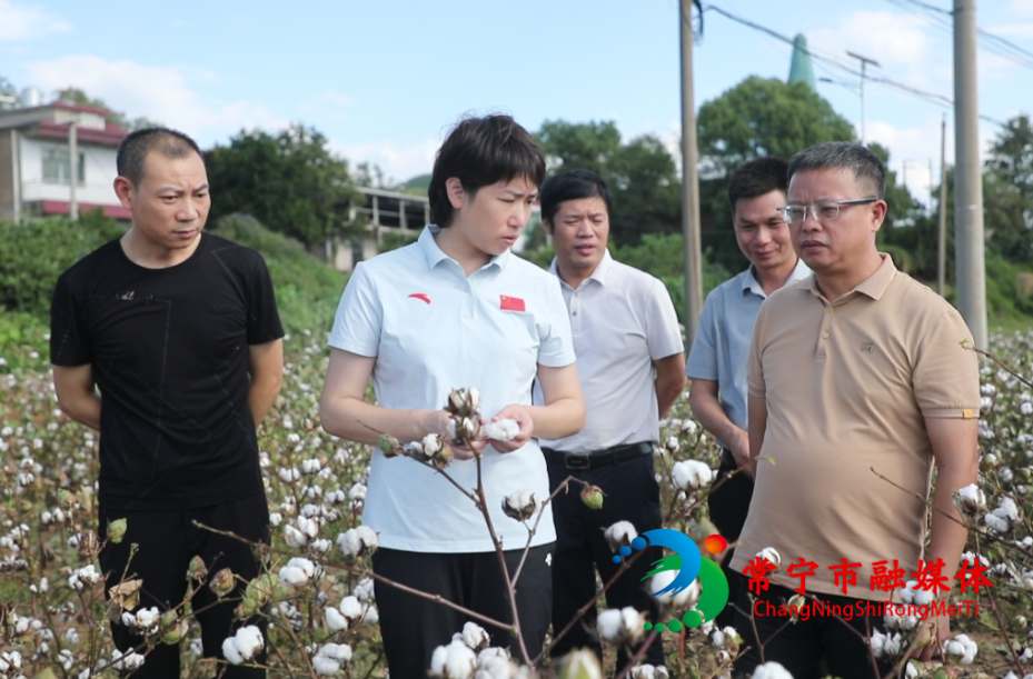 微信图片_20251006080648_714_4.jpg