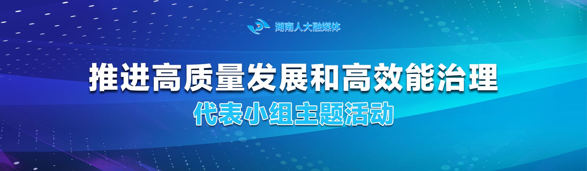 推进高质量发展和高效能治理代表小组主题活动