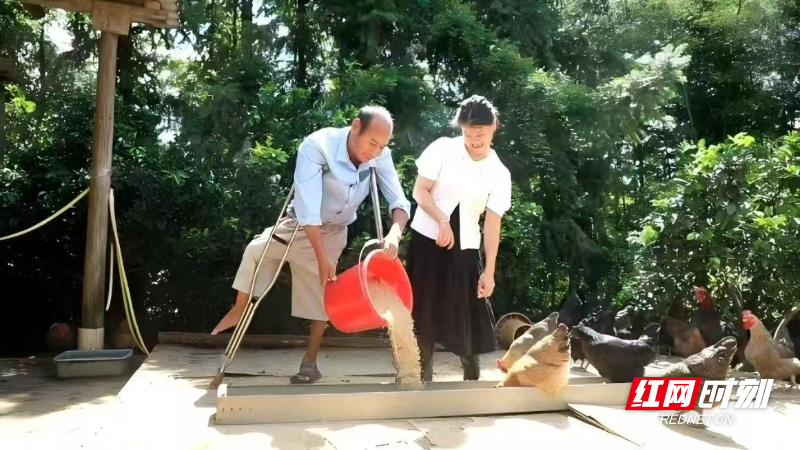 微信图片_20251010104229_3_3.jpg
