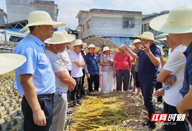省人大代表、湖南科技大学客座教授邓述东在卢阳镇予乐基田垅中现场教学稻草种植蘑茹.jpg