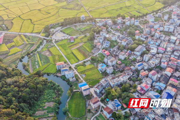 DJI_20251011174505_0058_D 拷贝.jpg