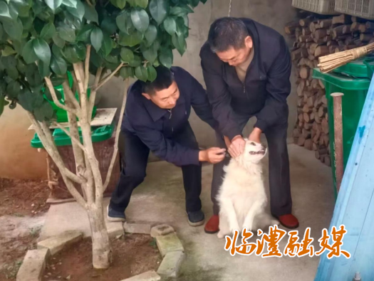 wechat_2025-10-16_143937_054.png