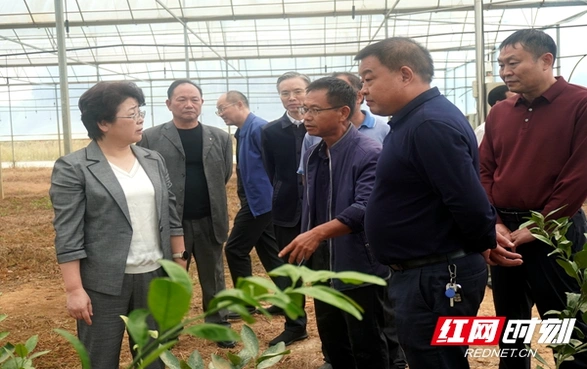 邵阳市人大常委会就2024年度财政资金绩效评价工作进行专题调研