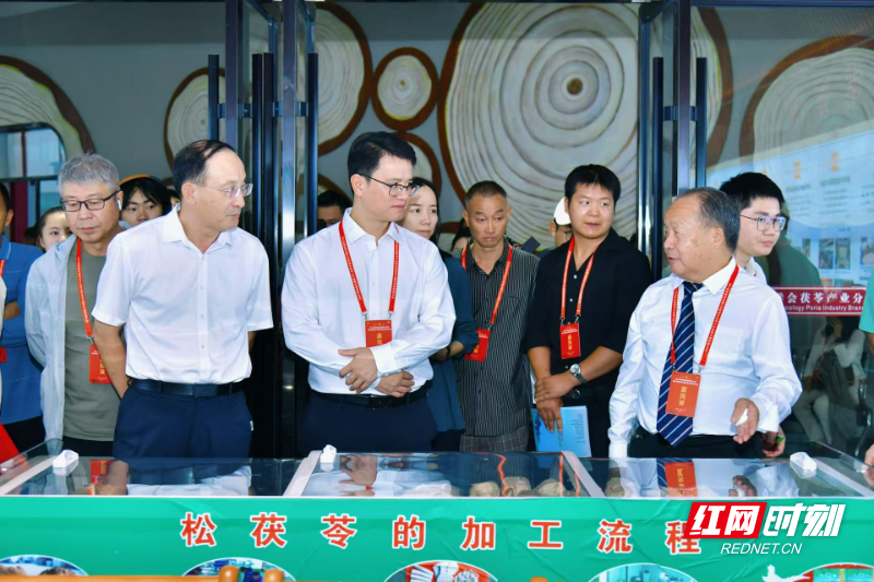 微信图片_20251016222926_209_364.jpg 微信图片_20251016222926_209_364.jpg