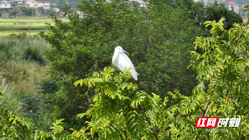 image013.jpg