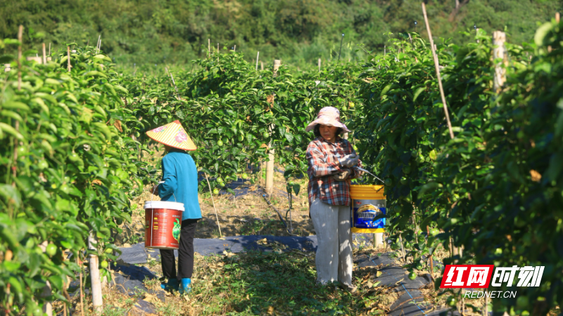学2.jpg