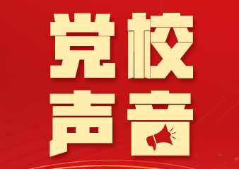 赵凯明：扎实推进有组织科研 彰显为党献策独特价值
