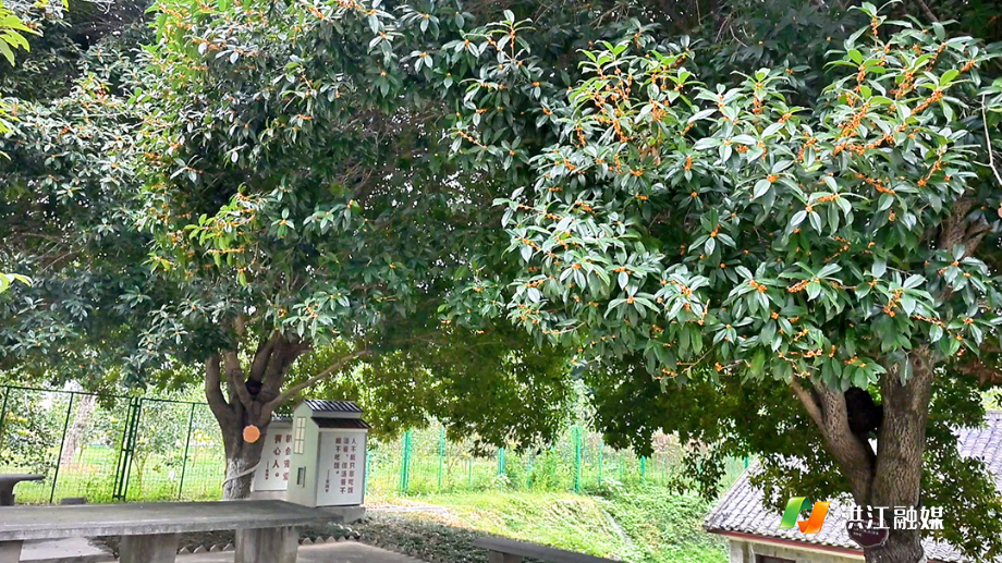 微信图片_20251023164356.jpg 微信图片_20251023164356.jpg