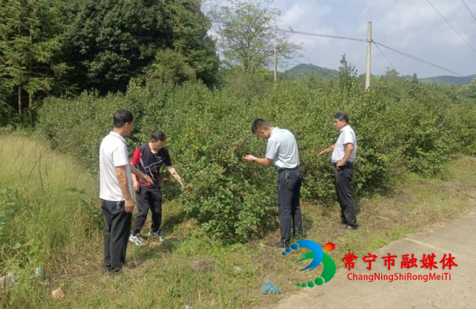 图片1_看图王.png 图片1_看图王.png