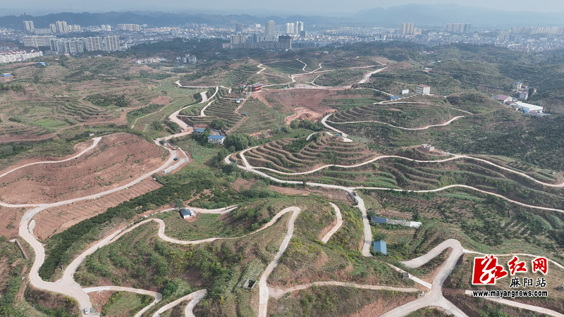 微信图片_20251027105251.png 微信图片_20251027105251.png