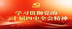 学习贯彻党的二十届四中全会精神